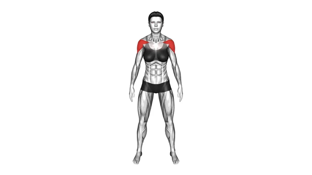 Front Shoulders highlighted on shoulder muscle map